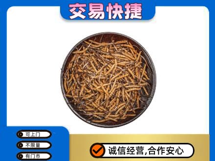 徐州市邳州高价回收散虫草