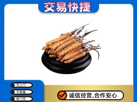 徐州市邳州回收冬虫夏草多少钱每克